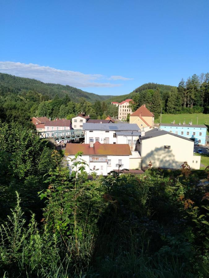 Hotel Koruna Penzion Teplice nad Metují Екстериор снимка